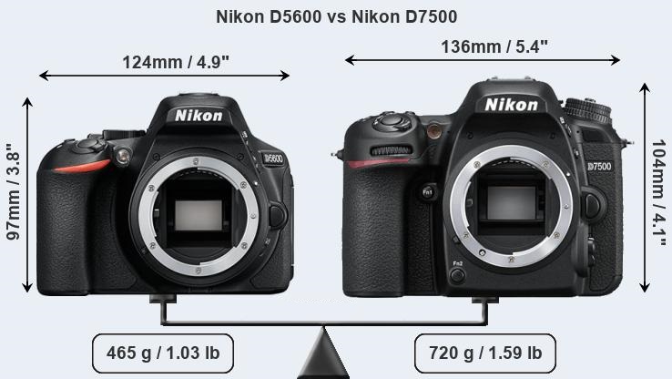 دوربین عکاسی نیکون D7500 و نیکون D5600